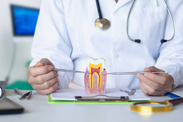 Best Emergency Denture Repair in Forsyth, MT